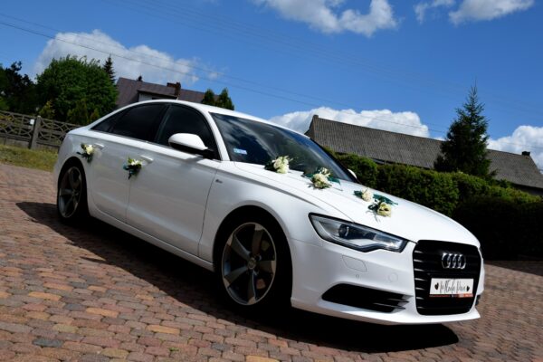 284515840_453129096618390_6436775835270248587_n