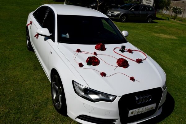 290496879_473050707959562_6296127753689853555_n