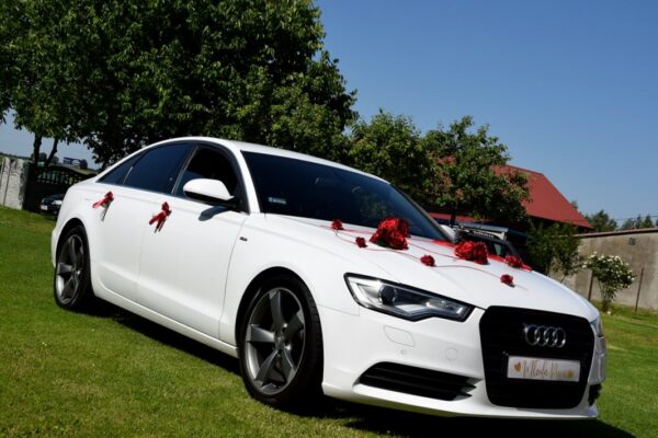 290861624_473050684626231_4467577171904676930_n