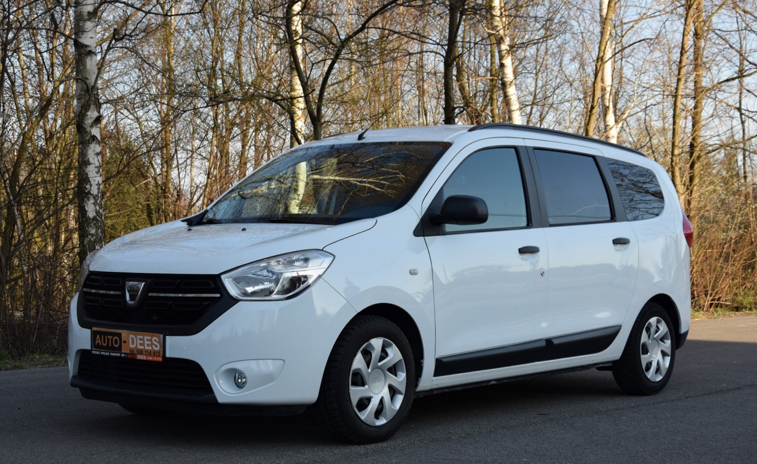 Szeregi Naszej wypożyczalni zasilił kolejny minivan