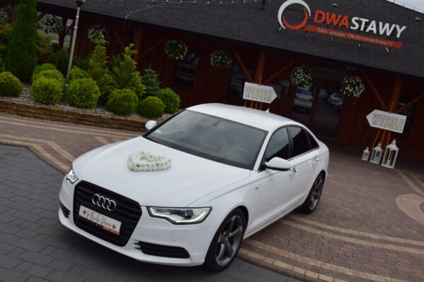 49c2d54244d33615f28e437f64ea0bc4856c82e9